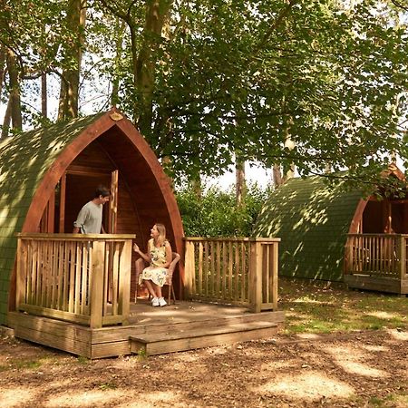 Pinewood - At Port Lympne Reserve Hythe  Εξωτερικό φωτογραφία
