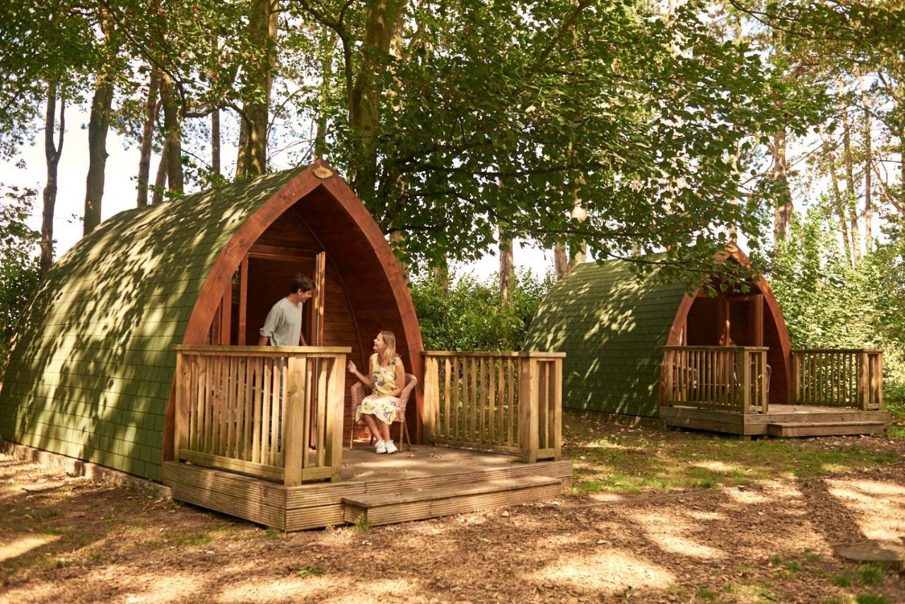 Pinewood - At Port Lympne Reserve Hythe  Εξωτερικό φωτογραφία