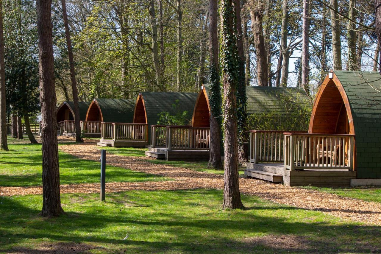 Pinewood - At Port Lympne Reserve Hythe  Εξωτερικό φωτογραφία
