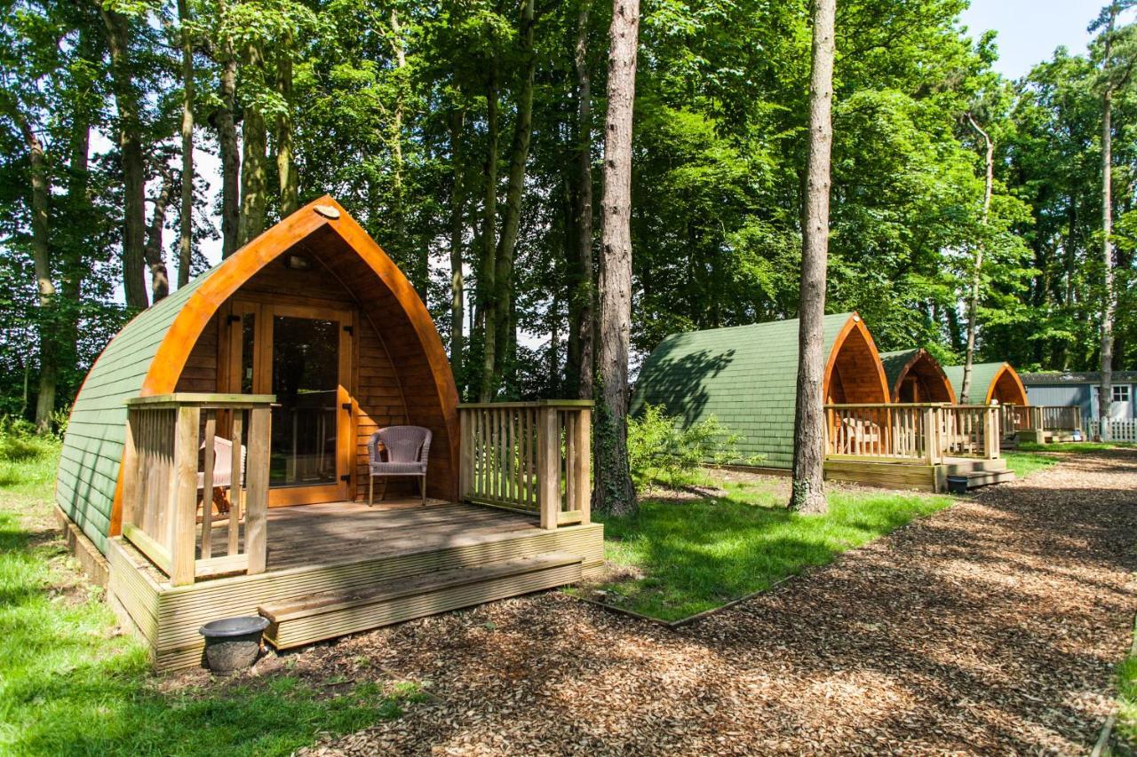 Pinewood - At Port Lympne Reserve Hythe  Εξωτερικό φωτογραφία